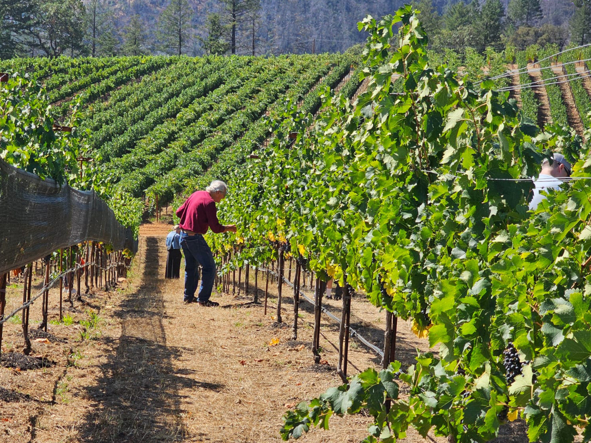 Calling the Pick: The Most Important Decision of the Year